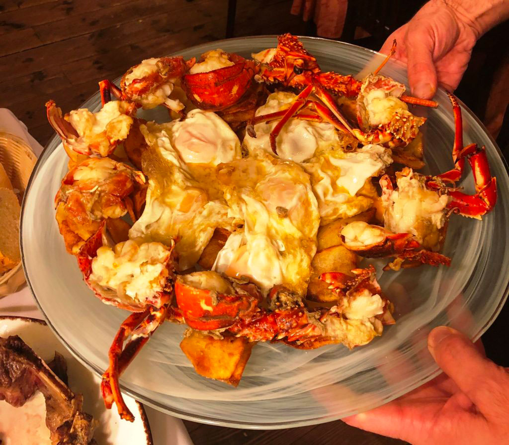 Morbi vitae purus dictum, ultrices tellus in, gravida lectus. 