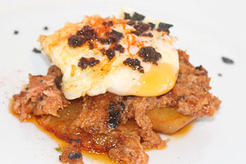 Morbi vitae purus dictum, ultrices tellus in, gravida lectus. 