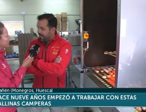 Nuestro reportaje en Aragón Televisión, hace un año..
